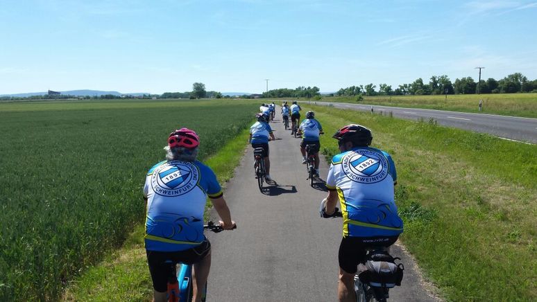Radwandern am Main von Schweinfurt nach Bamberg