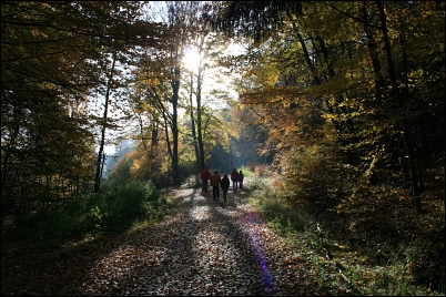 Kloster Kreuzberg Rhön